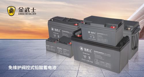 儲能2025，央國企軍團領航行動